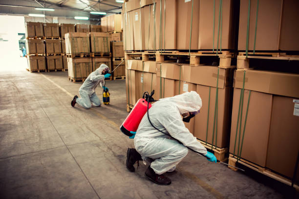 Best Emergency Pest Control  in East Flat Rock, NC