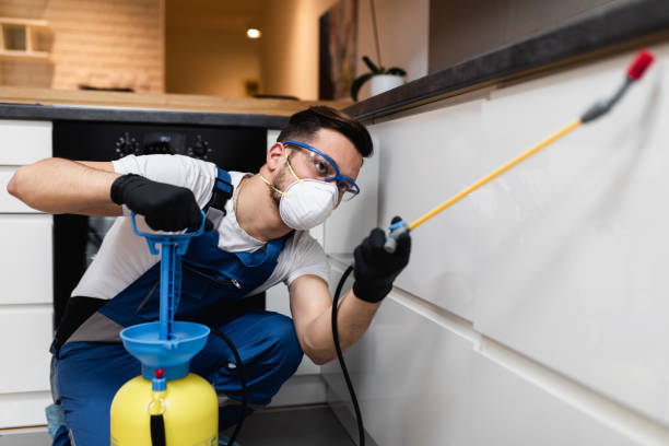 Best Best Pest Control Companies  in East Flat Rock, NC