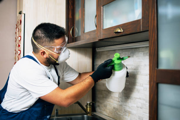 Wildlife Control Services in East Flat Rock, NC