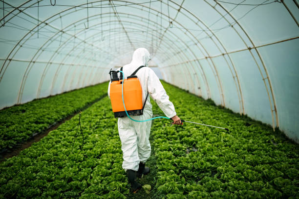 Best Mosquito Control Services  in East Flat Rock, NC