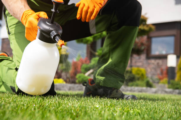 Best Residential Pest Control  in East Flat Rock, NC