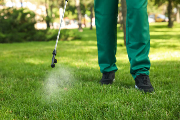 Best Bed Bug Extermination  in East Flat Rock, NC