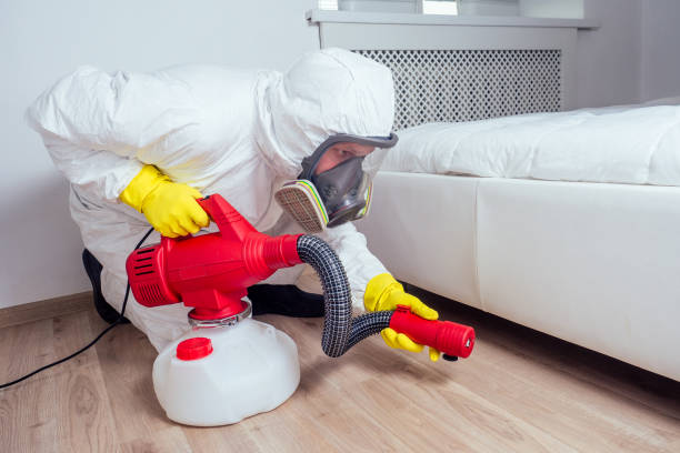 Pest Control Cost in East Flat Rock, NC