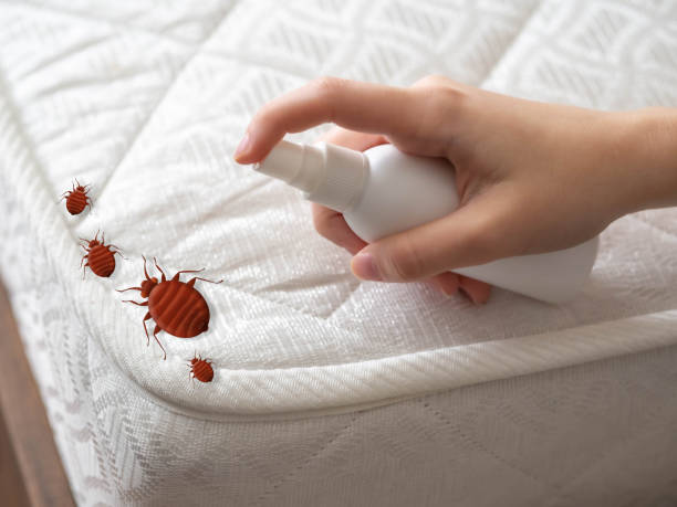 Pest Control for Restaurants in East Flat Rock, NC