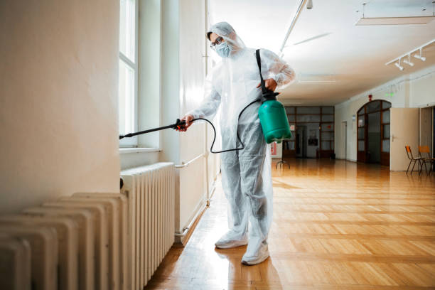 Professional Pest Control in East Flat Rock, NC
